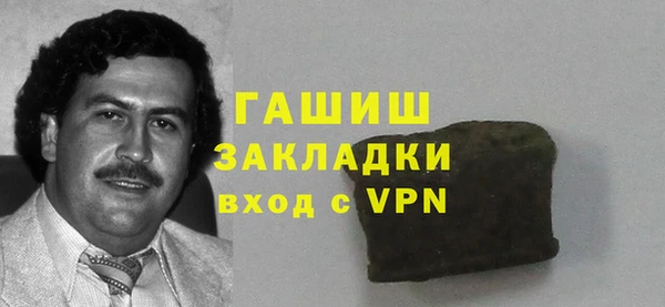 гидра Алексин