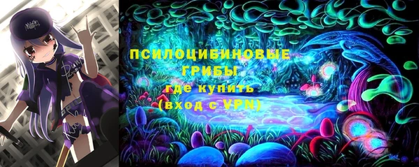 прущие крисы Абинск