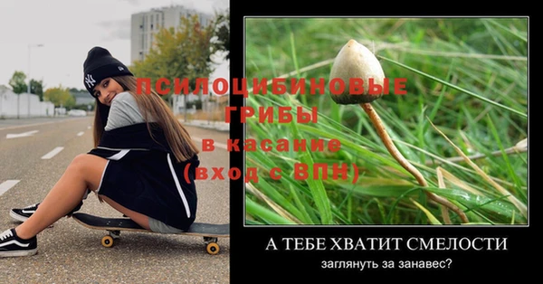 прущие крисы Абинск
