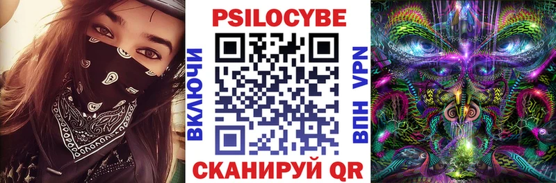 ОМГ ОМГ ссылки  купить закладку  Кандалакша  Псилоцибиновые грибы Psilocybe 