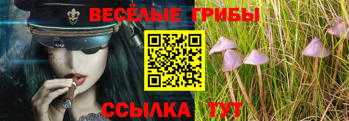 Галлюциногенные грибы прущие грибы  Вход с VPN  Галлюциногенные грибы ЛСД  Кандалакша 